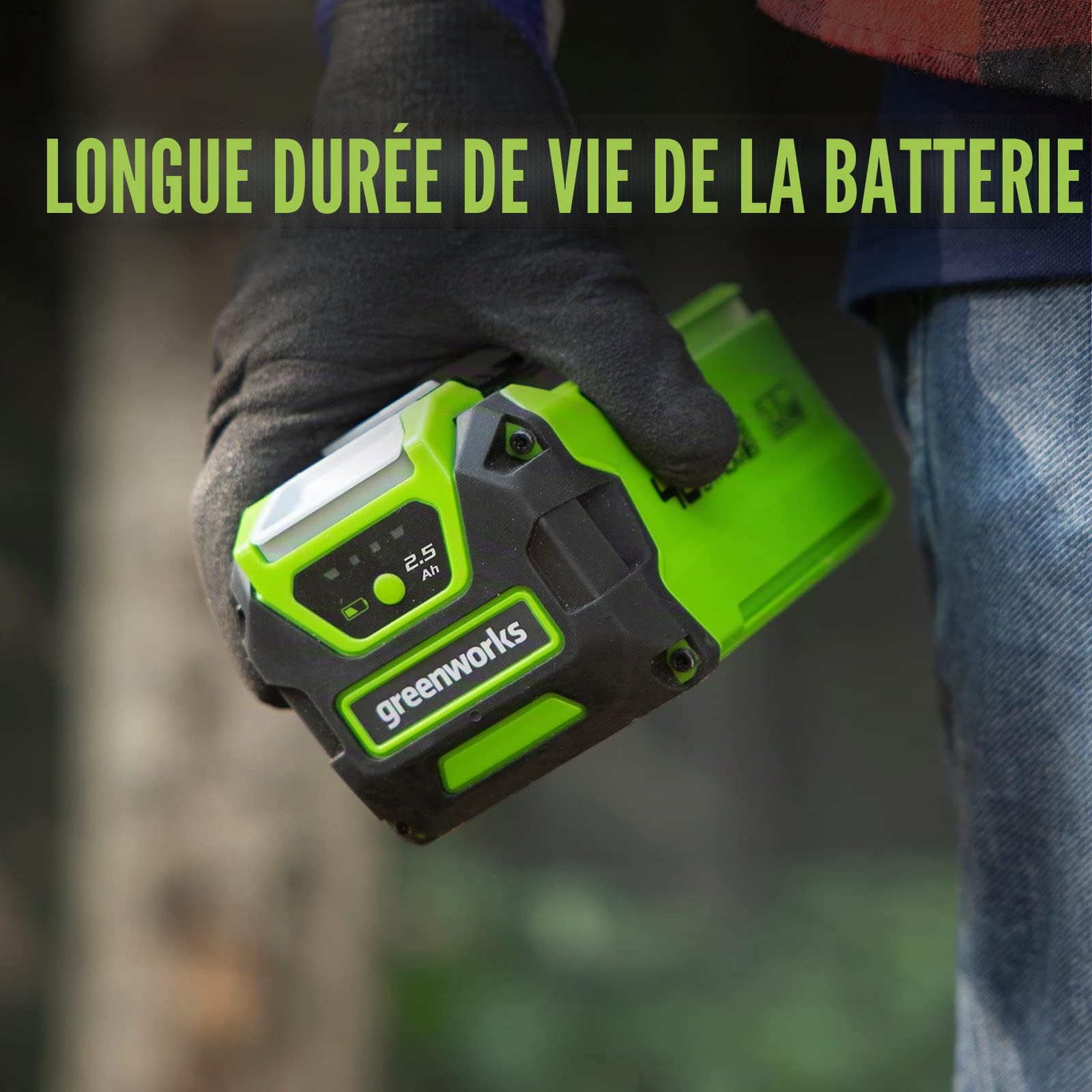 Greenworks Batterie G40B25 (batterie puissante rechargeable Li-Ion 40 V 2,5 Ah adaptée à tous les appareils de la série 40 V Greenworks Tools