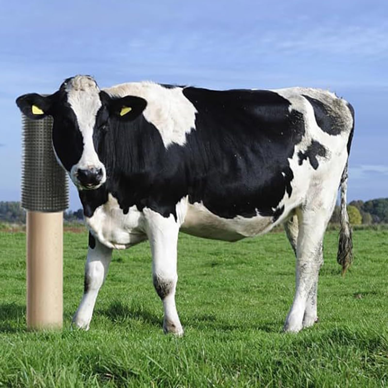 Farm Animal - Cepillo multifunción para cría, antipicazón, rascador para vacas, caballos, alfombra de masaje, limpieza y desenredado