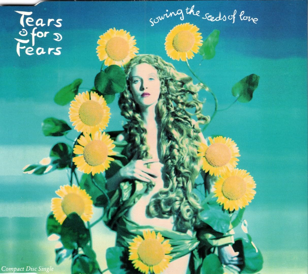 Sowing The Seeds Of Love [Audio CD] Tears For Fears