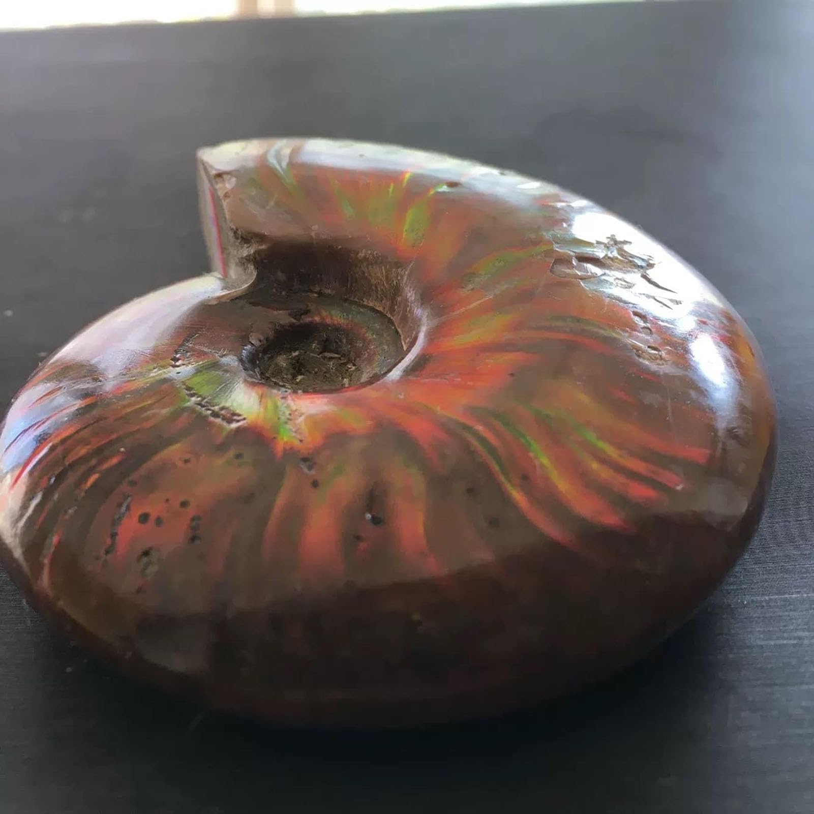 Tęczowy amonit Conch Cleoniceras iryzujący, skamieniałość amonitu, ammolity ze Madagaskaru, naturalny kamień szlachetny do dekoracji domu