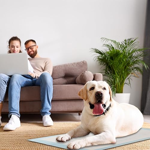 Miniatura 8 de FPN - Almohadillas de entrenamiento para cachorros y perros (300 almohadillas), almohadillas resistentes para perros, almohadillas de 5 capas para