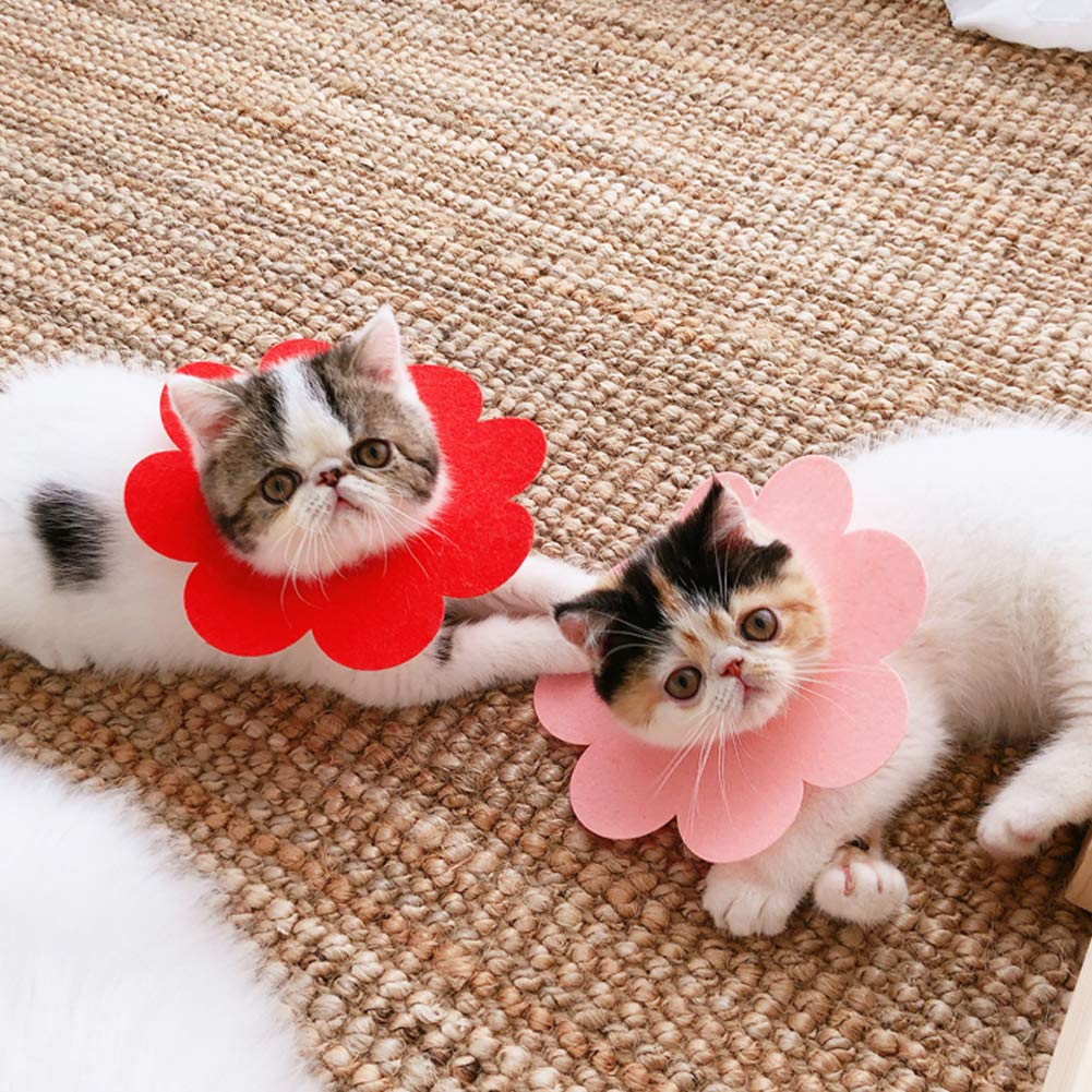Amazon | KUVEELA PET エリザベスカラー 猫用品 ドーナツカラー