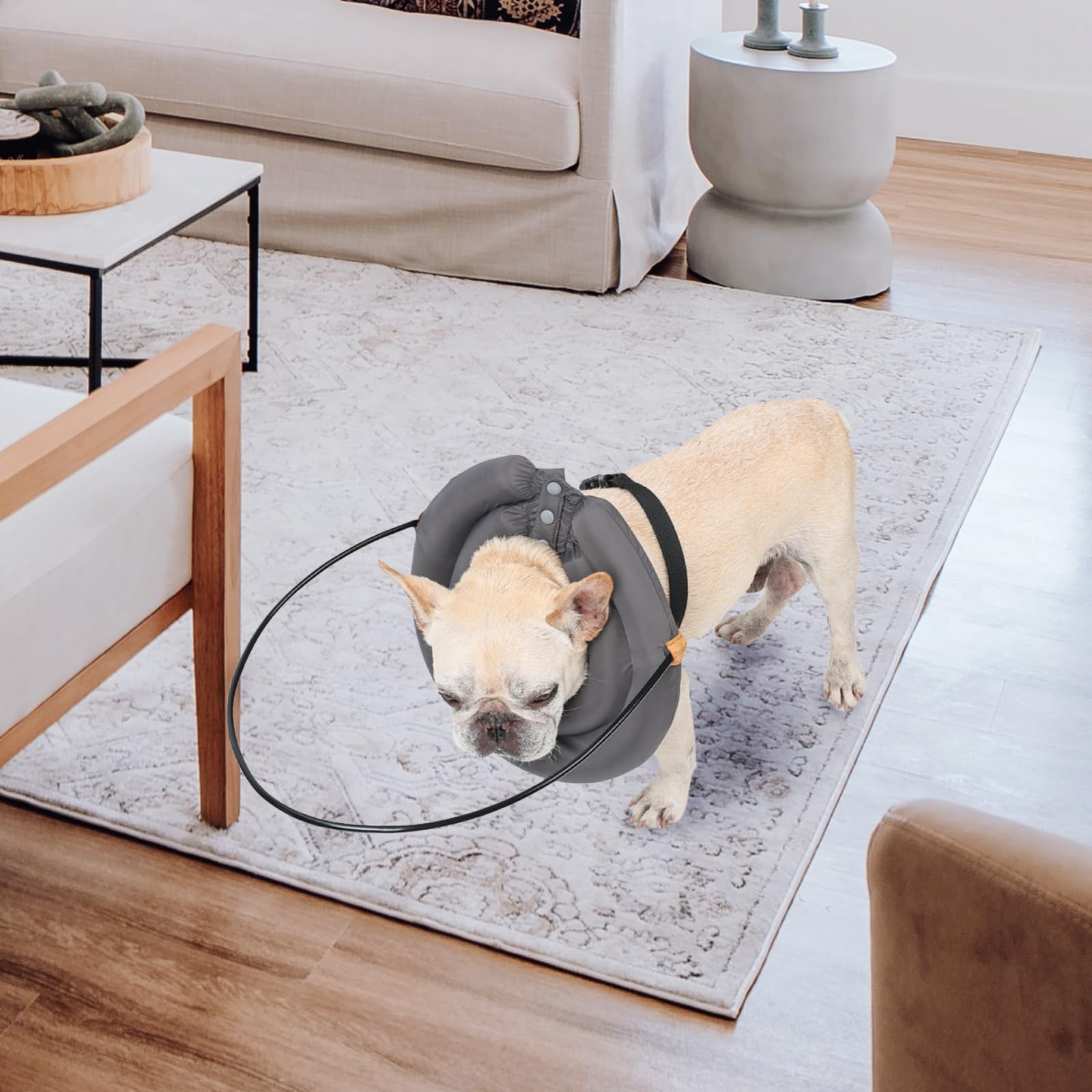 XINXI Halo-tuigje voor blinde honden, anti-botsingshalo-apparaat voor blinde honden, bescherming en vertrouwen opbouwen, anti-botsingsring-accessoires voor blinde honden