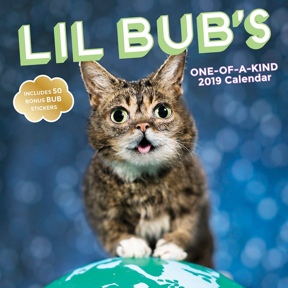 Lil Bub S One Of A Kind 2019 Wall Calendar | Desertcart Cayman Islands