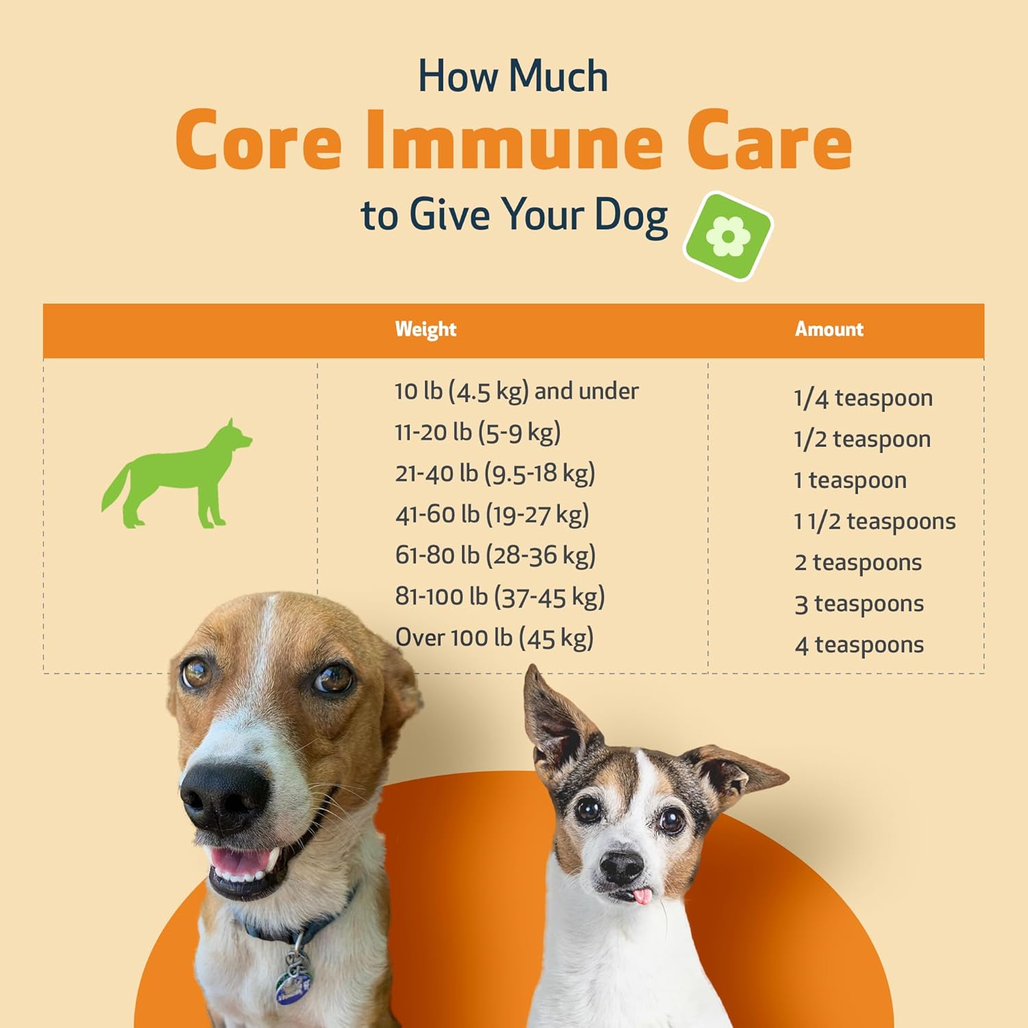 Pet Wellbeing Core Immune Care for Dogs - Daily Antioxidant Support for Pets of All Ages - Veterinarian Formulated Holistic Immune Support - 3.7 oz (105 g) Powder