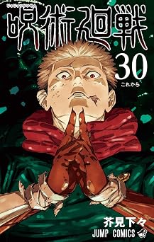 Jujutsu Kaisen 30 Japanese Edition