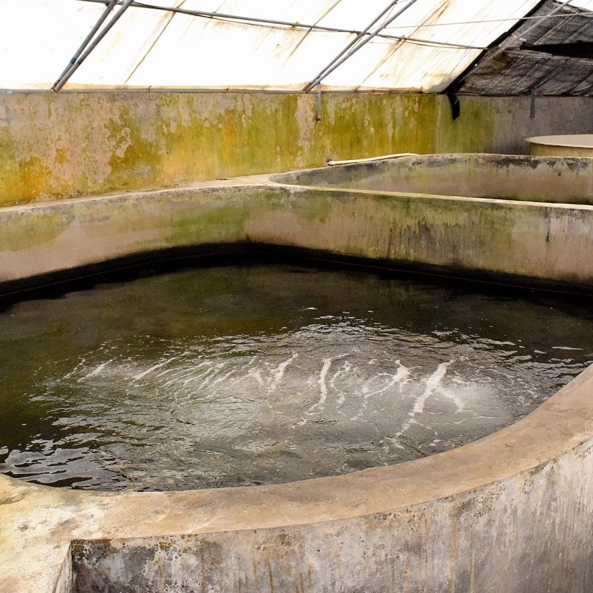 Étanchéité bassin, citerne, béton - Enduit souple pour ouvrage hors-sol ou fissuré, piscine, sous carrelage : Arcacim S2 aqua - 4 kg Gris Marron Proche - RAL 7013 - ARCANE INDUSTRIES