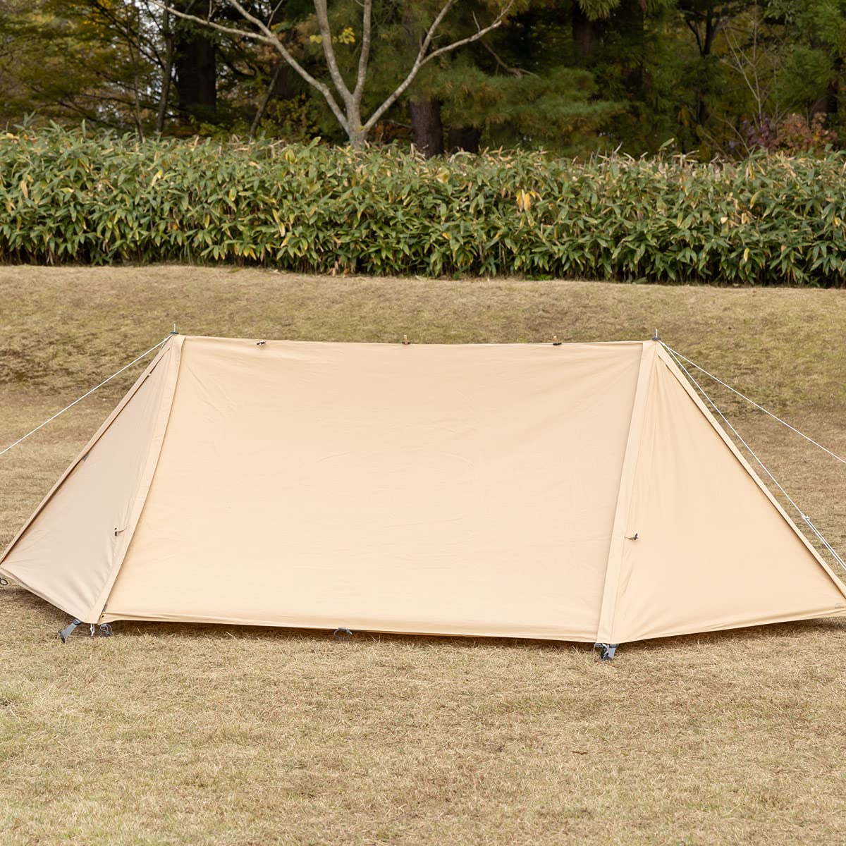 Amazon.co.jp: BUNDOK(バンドック)ソロベース BDK-79TCSB 【1人用