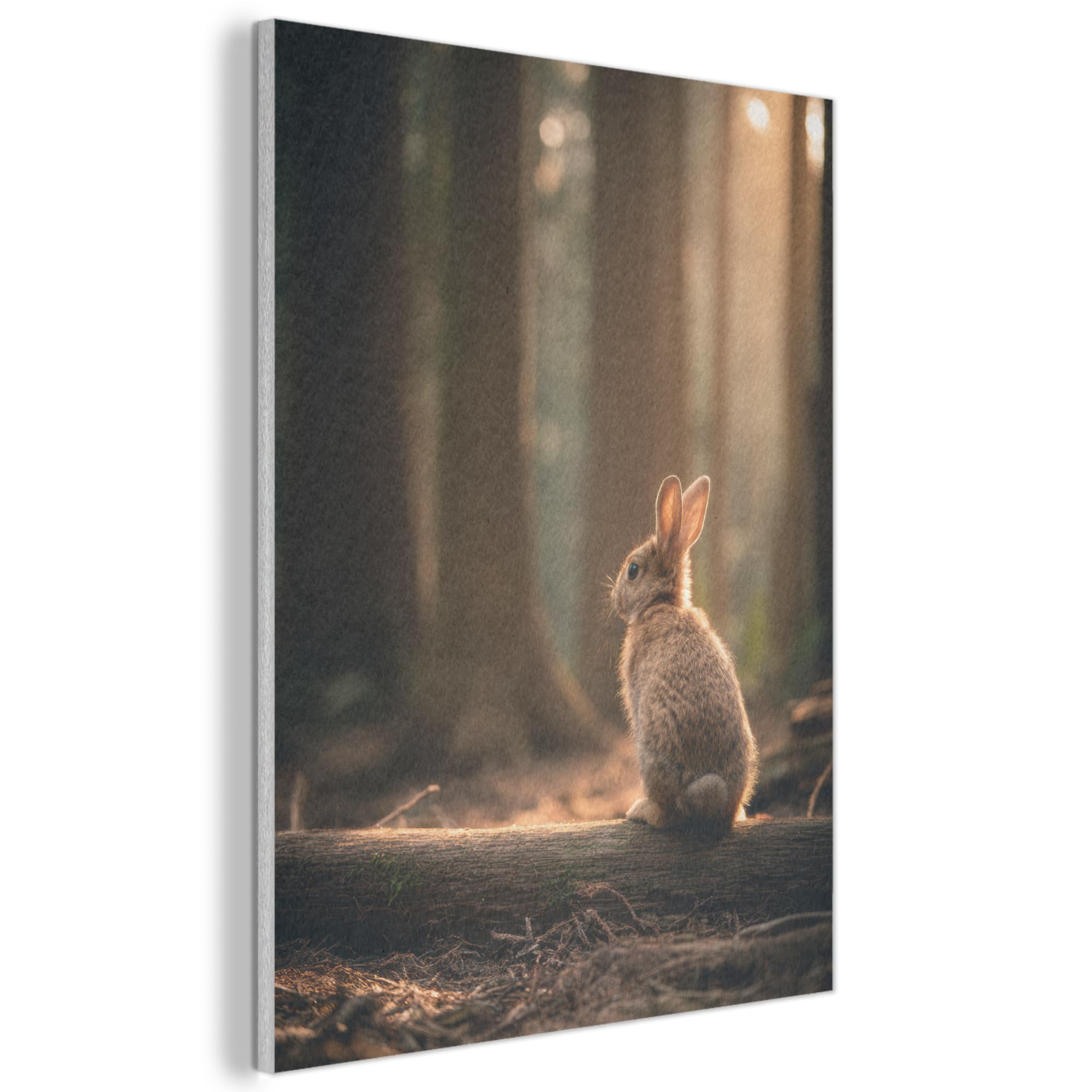 MuchoWow© Felt Panel 70x100 cm House Touch for Living Space Modern Visuals Decoration Wall Art Rabbit - Forest - Sunbeams