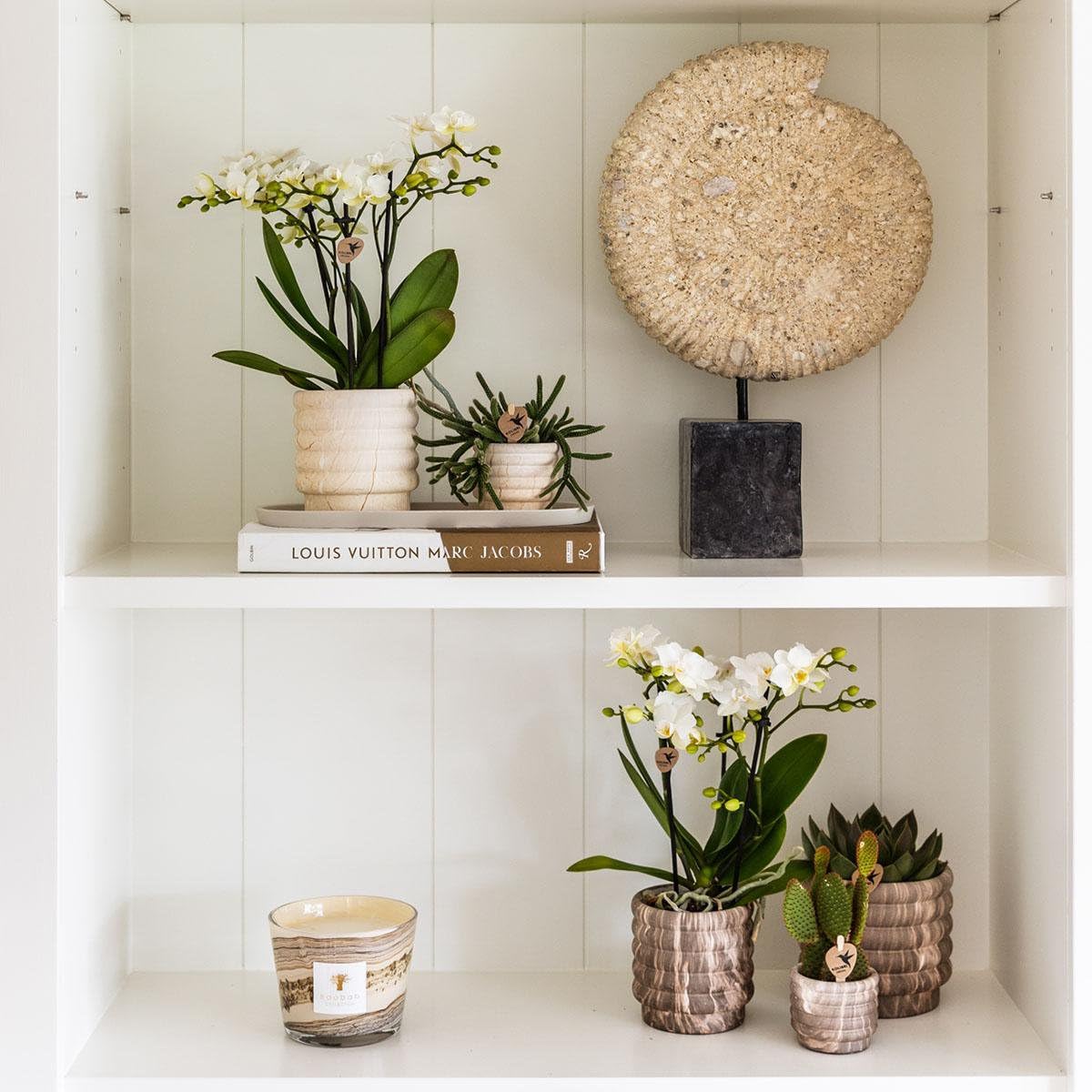 Lot de 3 Cache-pots Effet Marbre pour Plantes, Décoration Intérieur, Blanc