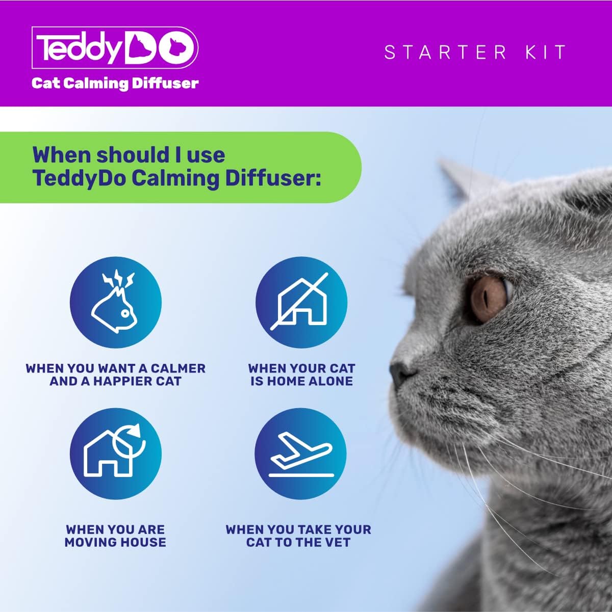 TeddyDo Calming Diffuser Refill for Cats | Pack of Two| 60 Days Kit | Reduce Spraying, Scratching and Other Problematic Behaviors | Calming and Relaxing Effect | 2x48 ml | 4 71b6BeyrJIL. AC SL1201