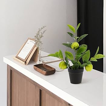 Amazon｜Gresorth 13インチ フェイクアップルツリー ブラック 鉢植え