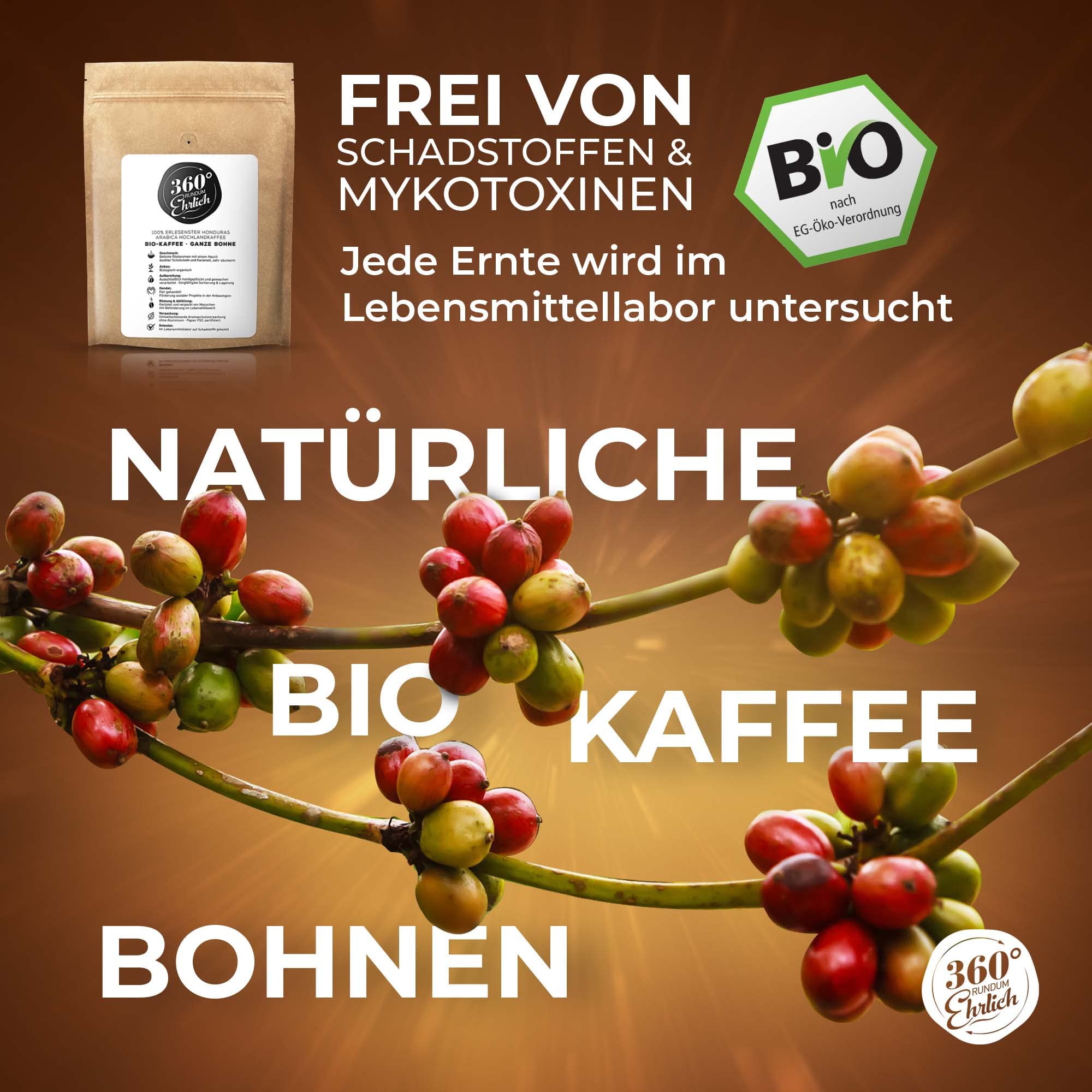 Premium Bio ziarna kawy 1000 g, 100% Honduras Hochland Arabica ziarna kawy bio – pyszne, łagodne, niskokwasowe – kawa organiczna całe ziarna – idealna jako w pełni automatyczny ekspres do kawy 360°