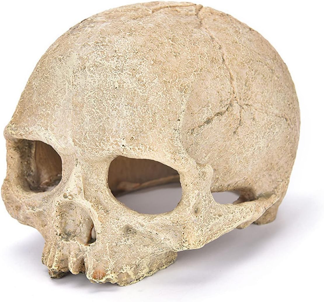 Aquarium Skull Reptile Tank Accessories Snake Hide Decor Habitat