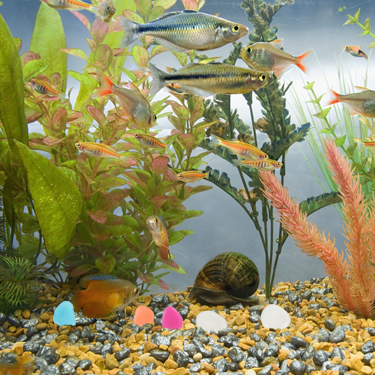 Yardwe 3 Sätze Leuchtende Kiesel Fischbecken Schaukelt Kies Aquarienversorgung Fischfelsen Für Becken Dekorative Blumentopfkiesel Kompakte Aquariensteine Harz 200 Stück * 3