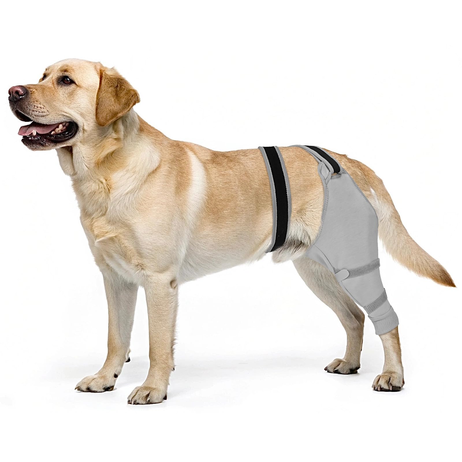 Dog Rear Leg Sleeve to Stop Licking, Hind Leg Protector After TPLO Recovery, ACL Surgery, Wounds or Skin Issues, Soft Breathable Comfortable Cover for Large Medium Small Dogs, XS,Left, Light Grey