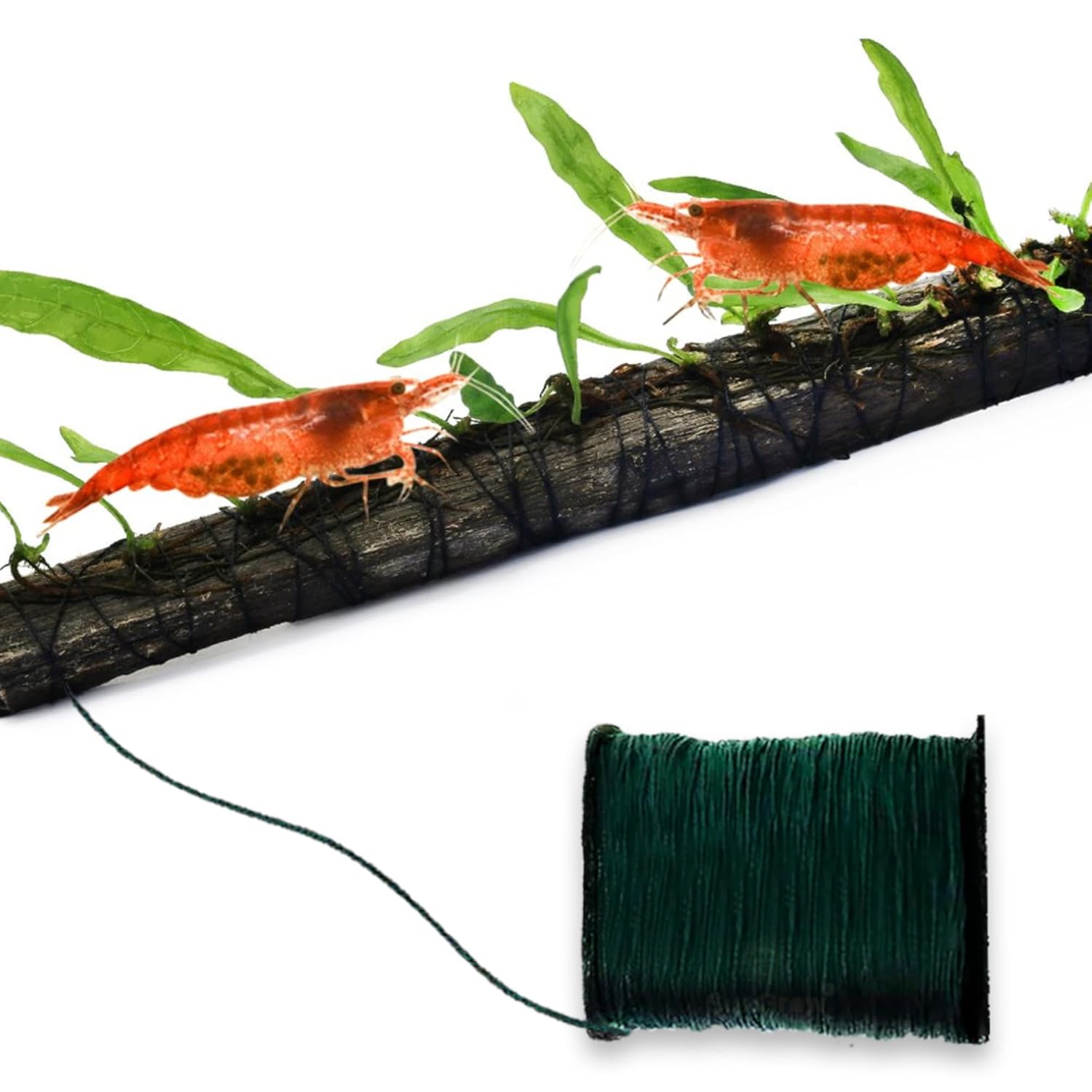SunGrow Biodegradable Moss Cotton Thread Natural Plant String