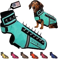 Vista 35 de CoyoteVest SpikeVest - Chaleco de arnés para perro, accesorios reflectantes para perros con picos para proteger a tu mascota de ataques de Raptor