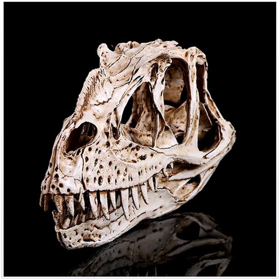 Amazon.co.jp: ハイシミュレーション恐竜頭蓋骨モデル