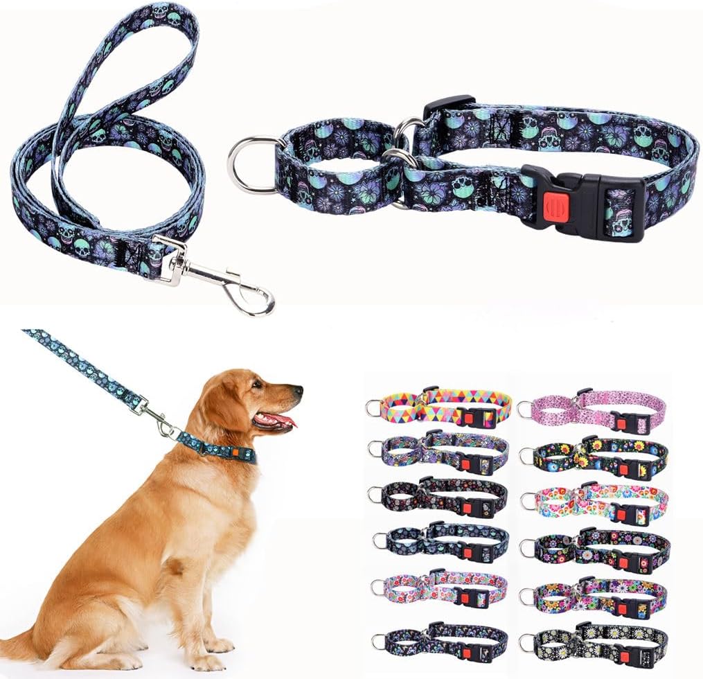 Martingale Collar and Leash for Dogs Large Medium Small
