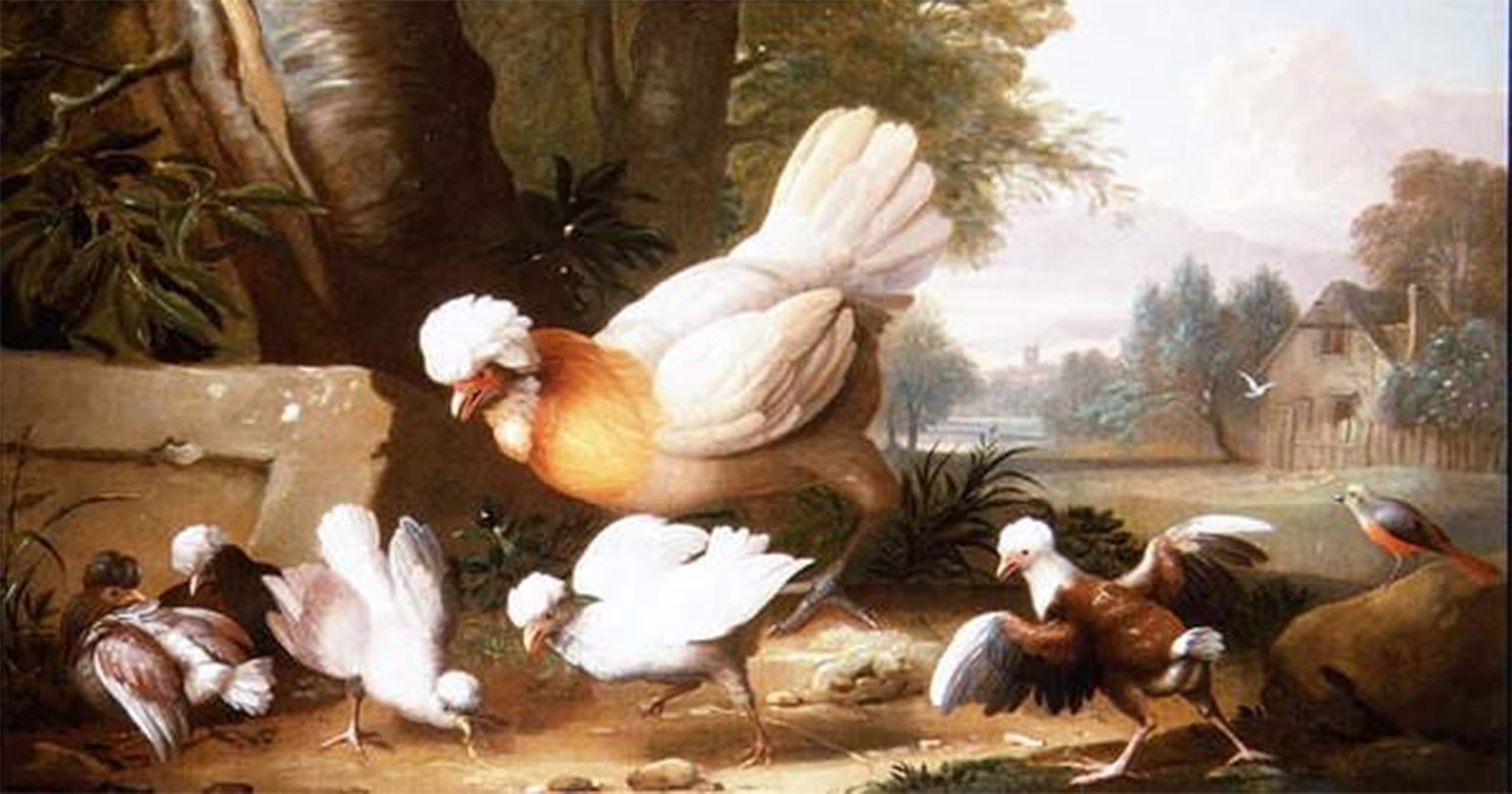Tableaux Graffiti Art Mural d'oiseaux par Jakob Bogdani SERENDIPITP impression moderne 60x90cm
