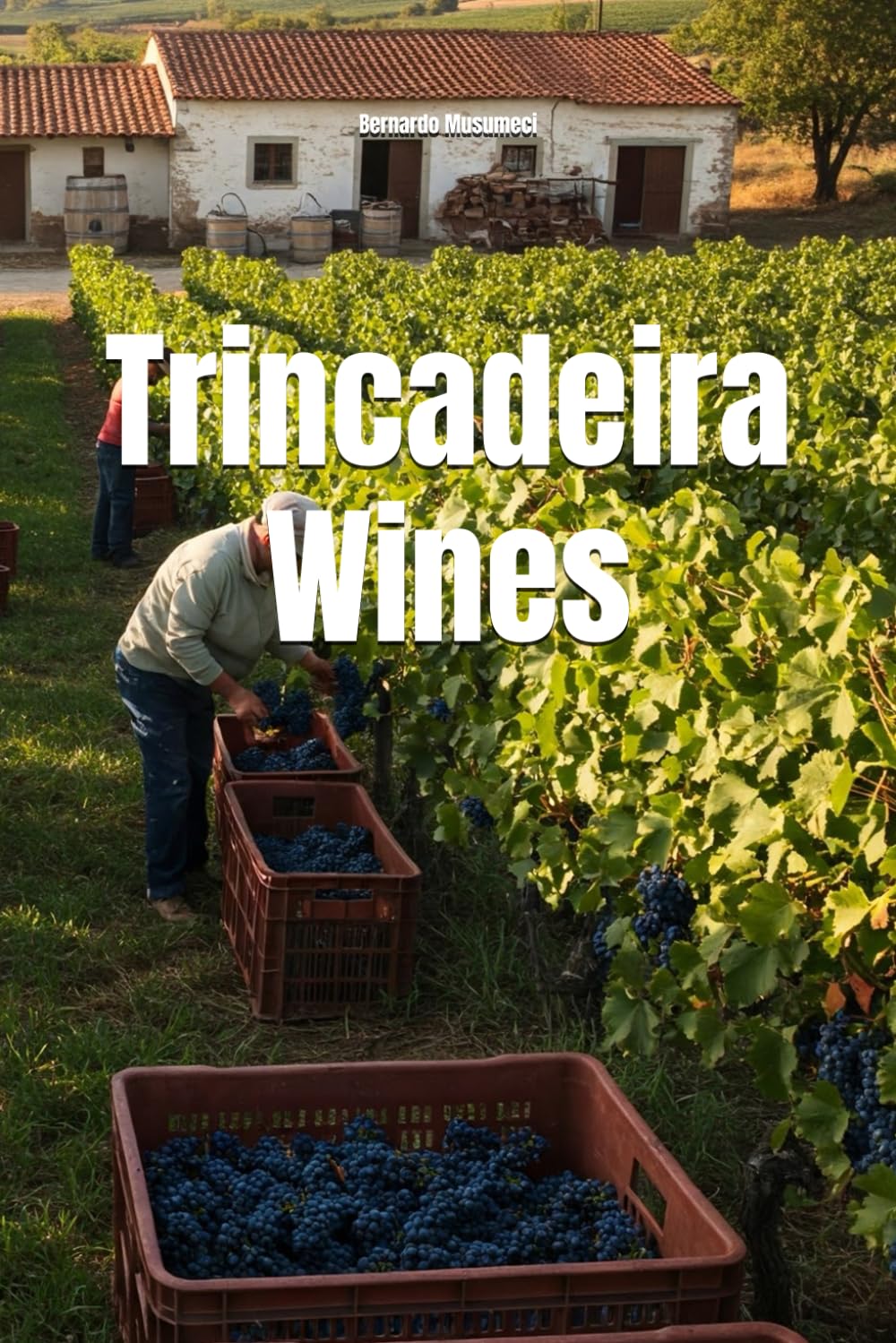 Trincadeira Wines (Wines of the World: Portugal)