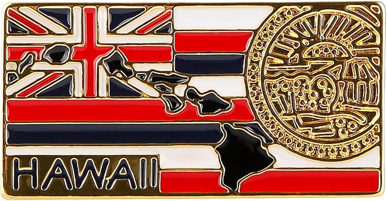State Shaped Map Lapel Metal Pin Enamel Brooch Keepsake Beautifully Designed for Backpack Hat