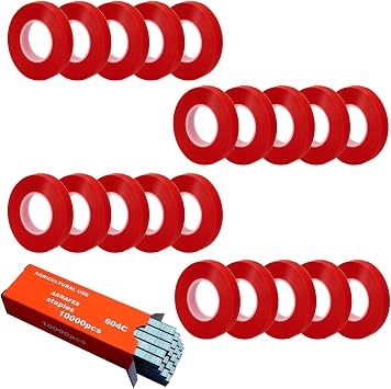 20Rolls of 100 Feet tie Tape and 1 Box of Staple 10000 PCS Staples for Plant Tying Machine,Plant Tape for Climbing Plants, Grapes, Raspberries, Tomatoes and Vining Vegetables Flowers