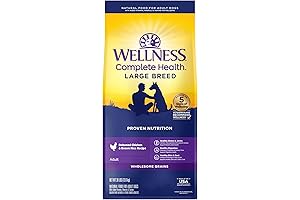 wellnee Large Breed Adult Dry Dog Food