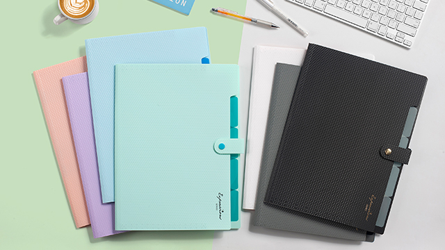 Amazon.com : Sooez Accordion File Organizer, Letter Size