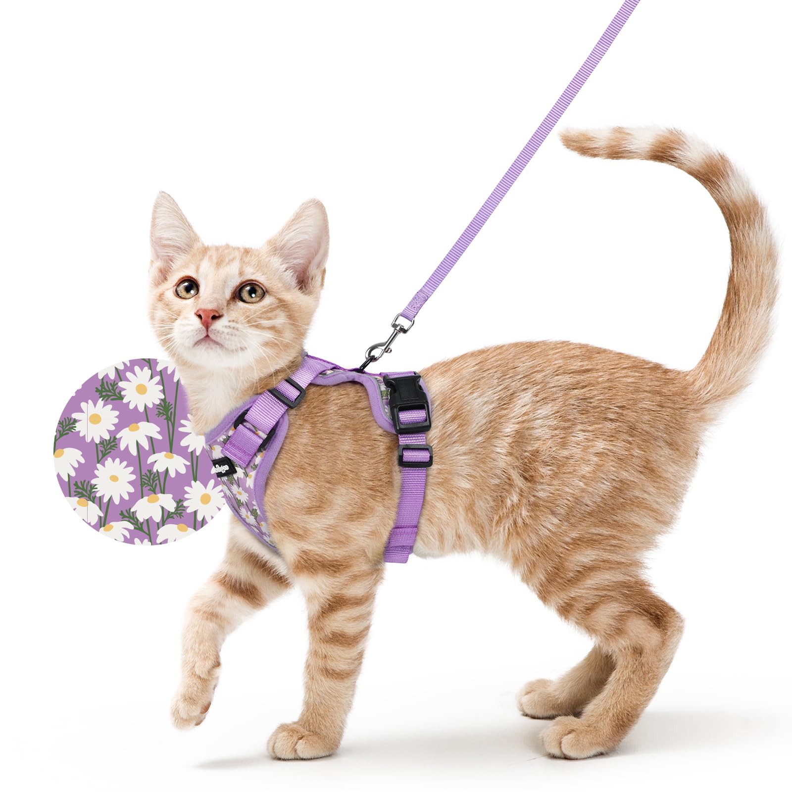 rabbitgoo Cat Harness and Lead Set, Escape Proof Vest, Purr-ple Daisy — image 1