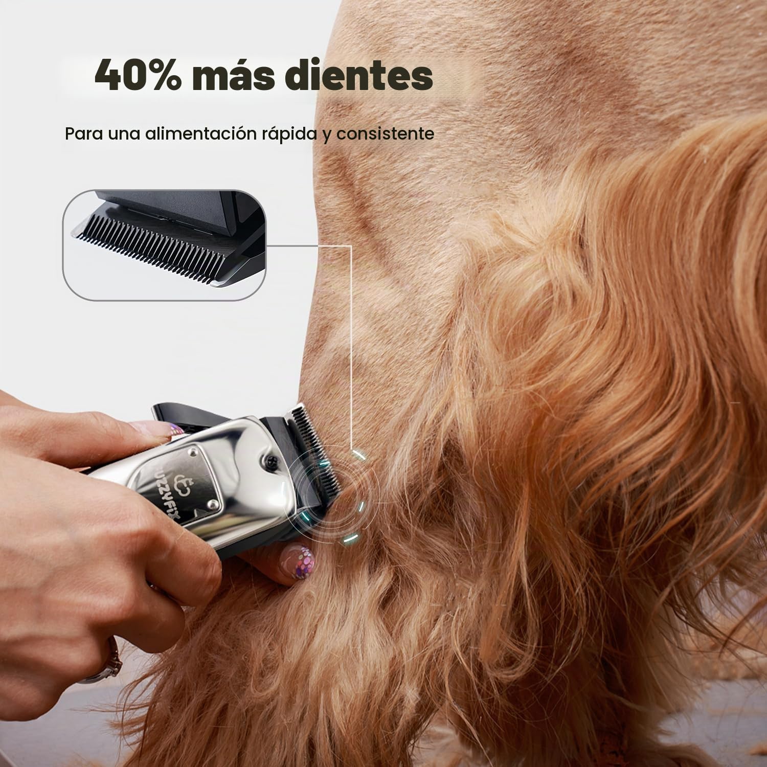 Kit de Premium 4 en 1 Máquina Cortar Pelo perro, Impermeable Máquina de Cortapelos para Perros y Patas
