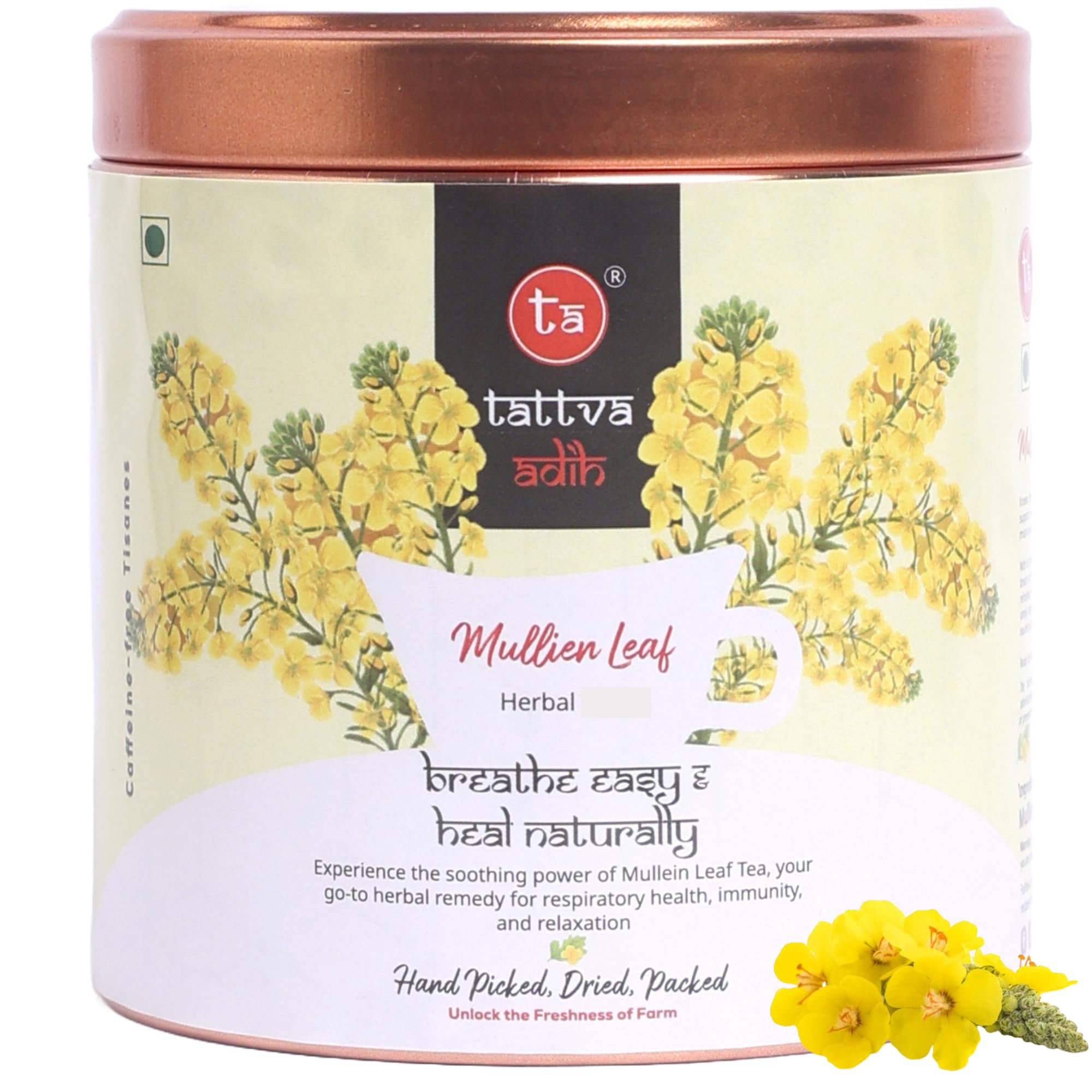 Tattva Adih Mullein Leaf Herbal Infusion – 50g 30+ Cups | Super Antioxidant | Natural Herbal Drink for Lung Detox, Cough Relief & Respiratory Health | Caffeine-Free | Natural Loose Leaves in Airtght Tin (50 g, Mullein Leaf)
