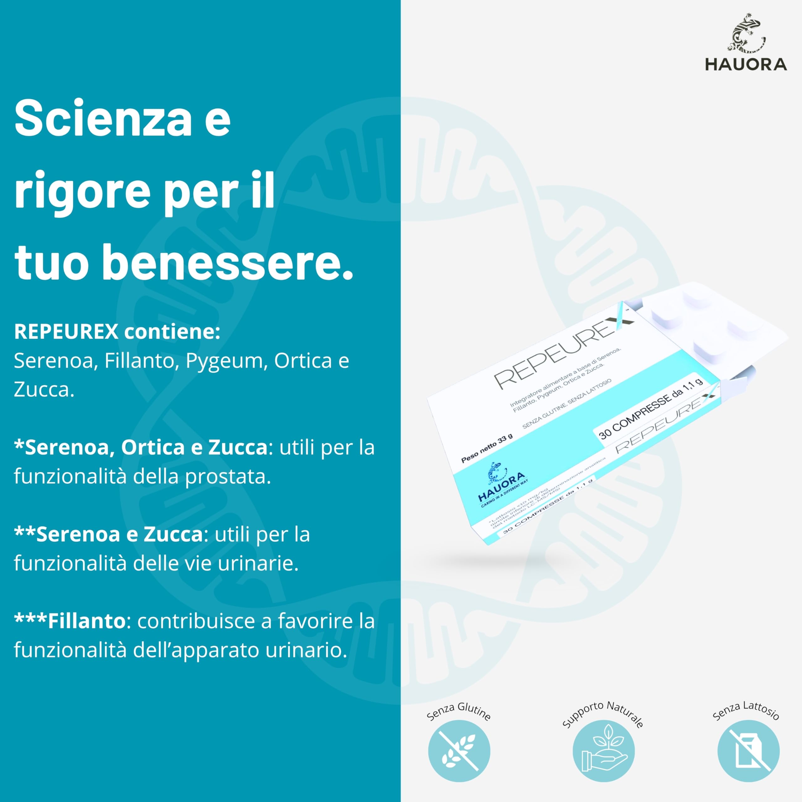 HauoraMed Repeurex Serenoa Repens Prostata Integratore e Vie Urinarie, 30 Compresse da 1,1g, con Saw Palmetto, Fillanto, Pygeum, Ortica e Zucca