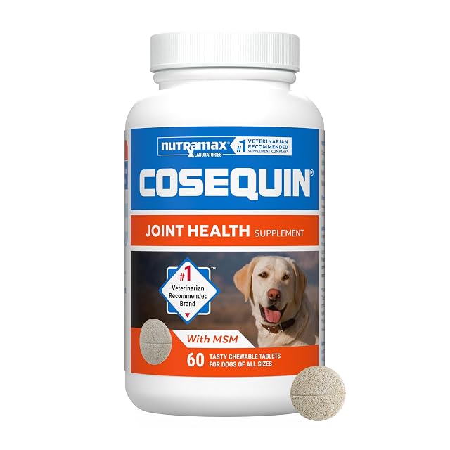 Cosequin DS masticables Plus MSM 60CT by Cosequin