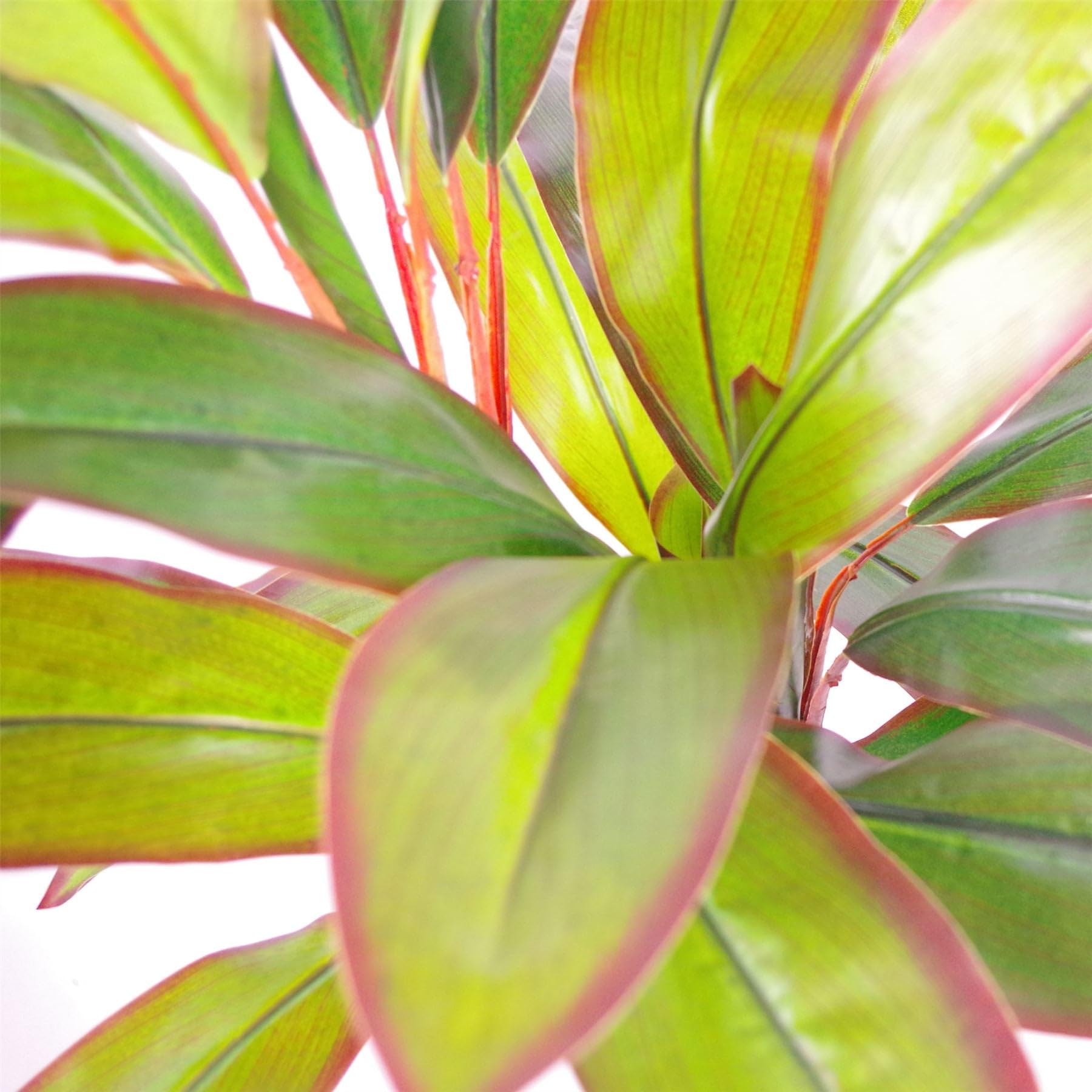 Leaf Plante Tropicale Artificielle en Pot, Grande Dracaena de 100 cm