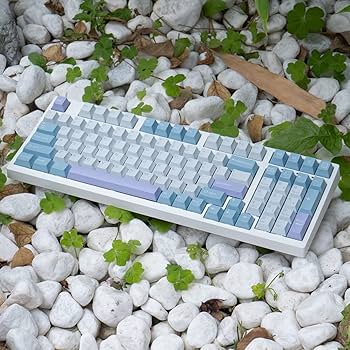 Amazon.co.jp: mintcaps イリュージョンキーキャップセット