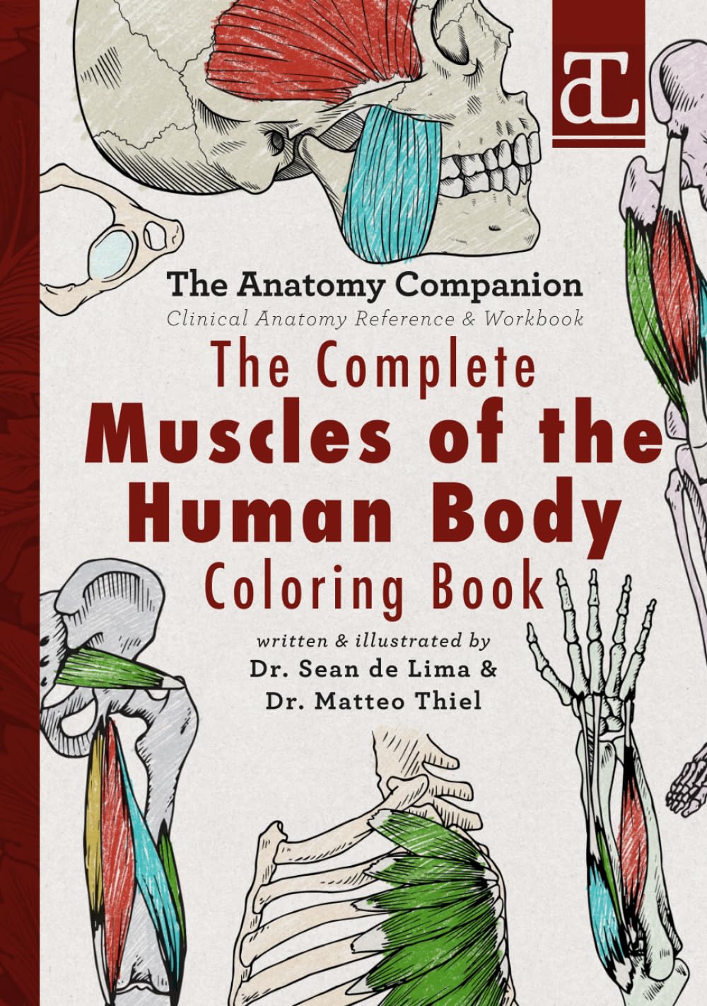 The Complete Muscles of the Human Body Coloring Book: The Anatomy Companion: Clinical Anatomy Reference & Workbook