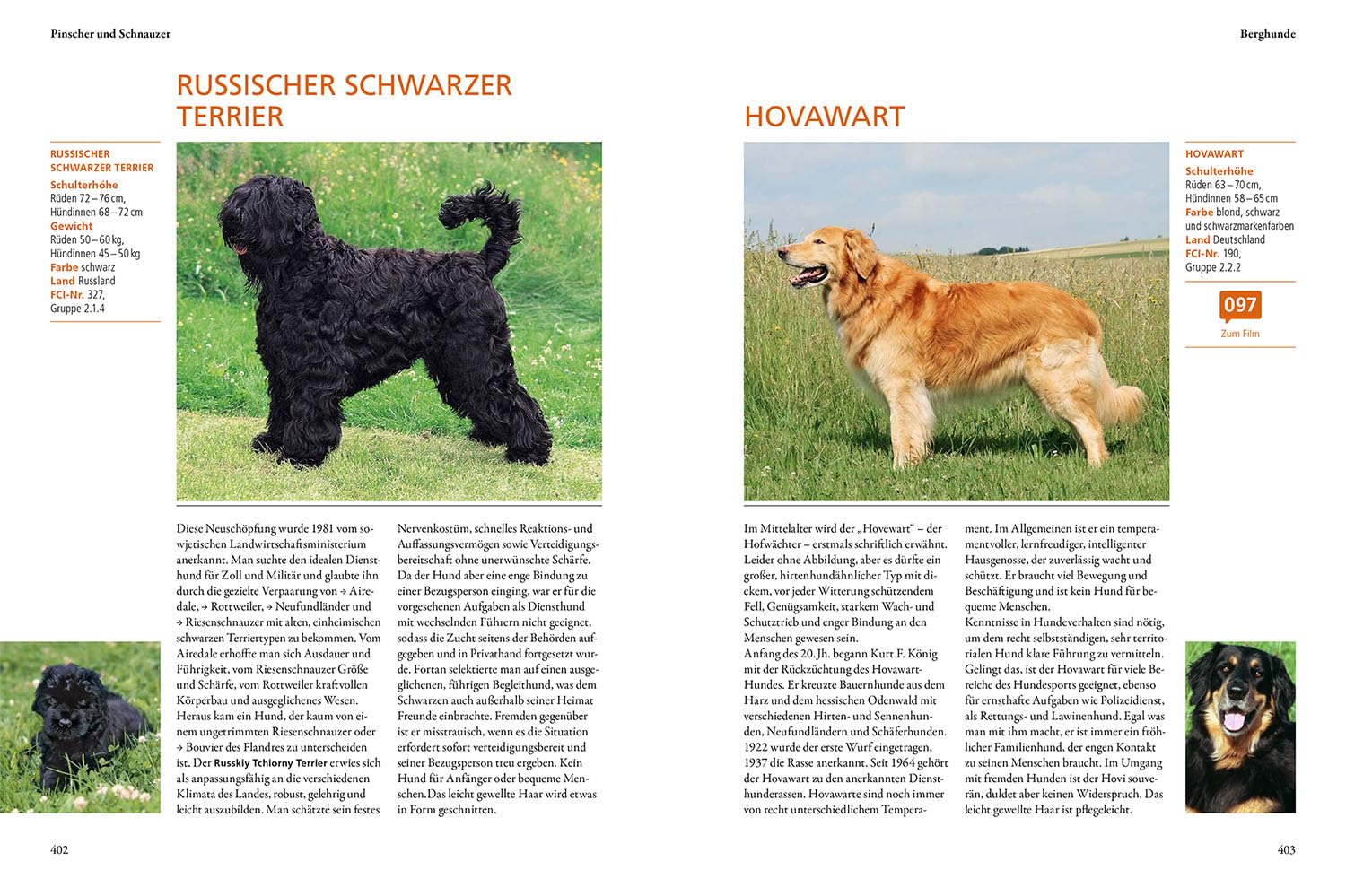 Der KOSMOS-Hundeführer: ALLE WELTWEIT ANERKANNTEN HUNDERASSEN - Über 600 Rassen und 850 Farbfotos - Ursprung, Charakter und Besonderheiten - Mit Filmen, Fotos und Reportagen über die "KOSMOS PLUS" App