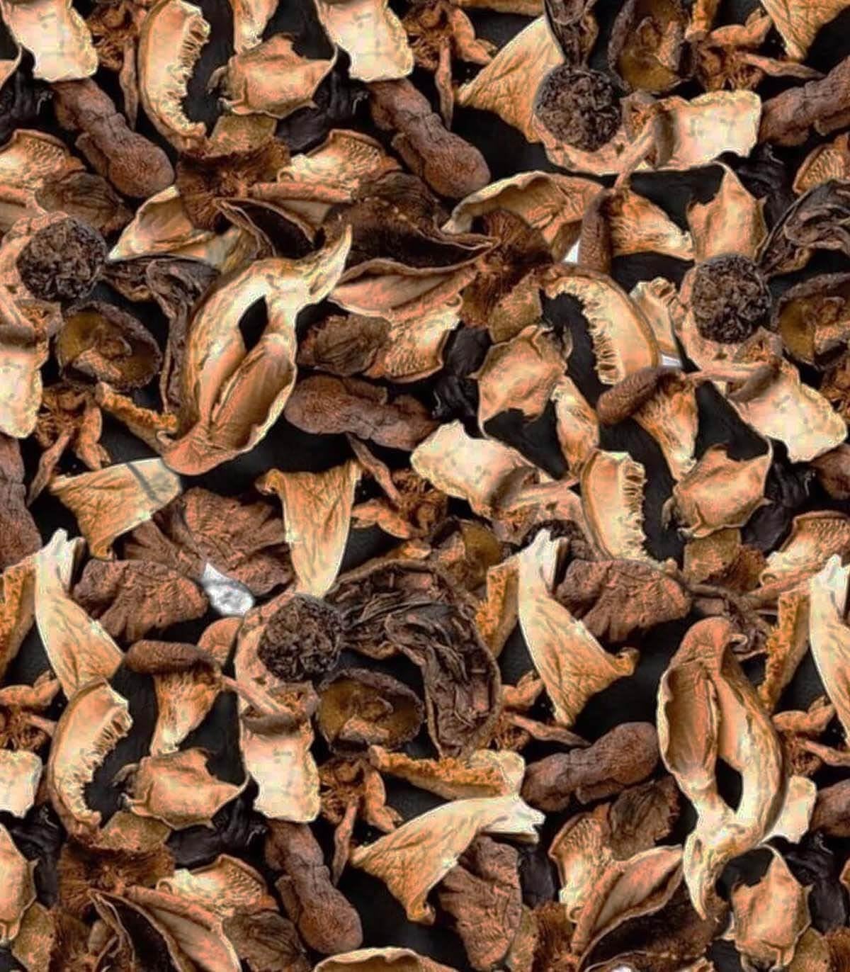 Bolets et Cèpes Séchés Pot 500g - Sabarot