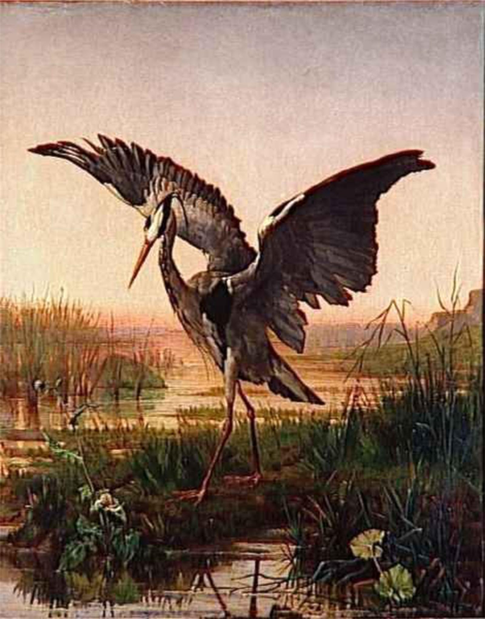 SERENDIPITP Abstract Painting Mural Print Picture Wall Decor Painting the Heron by Emil Villa Vintage Wall Artwork for Home Decor 60x90cm