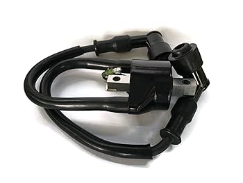 Amazon.com: Boat Motor Ignition Coil w/Resistance Assy 361