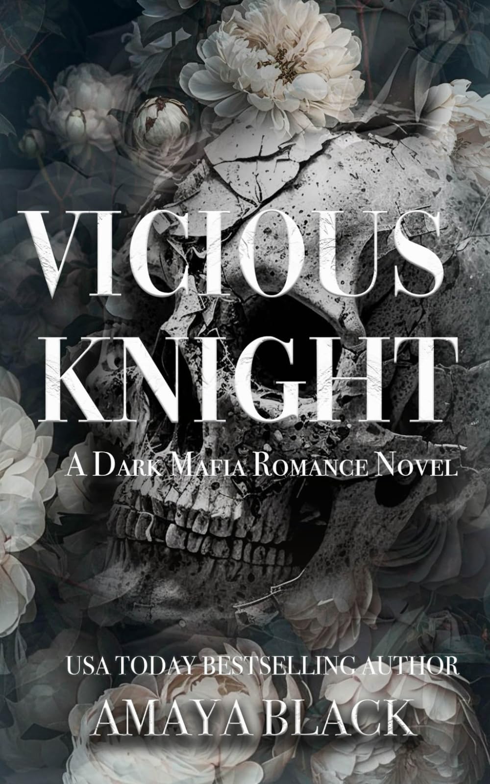 Vicious Knight: A Dark Mafia Romance