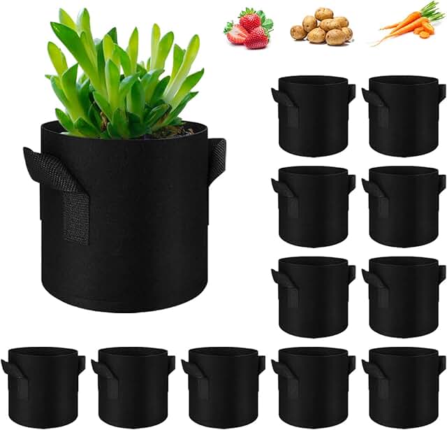Amazon.co.uk Vegetable Growing Containers