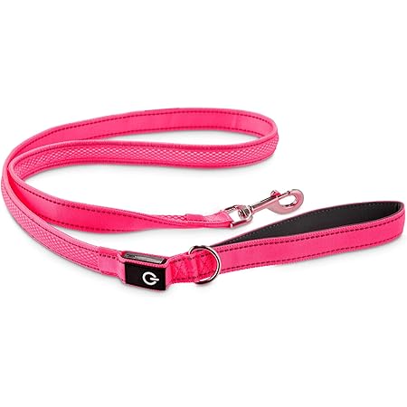 good2go leash