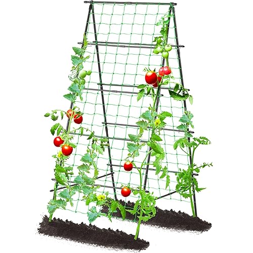 Lalahoni Garden Trellis for Climbing Plants Outdoor, 31.5x70.8 inch Metal A-Frame Cucumber Trellis Raised Bed, Climbing Plant Support Vine Fruit Flower Vegetable Tomato Peas Bean Trellis, with Netting