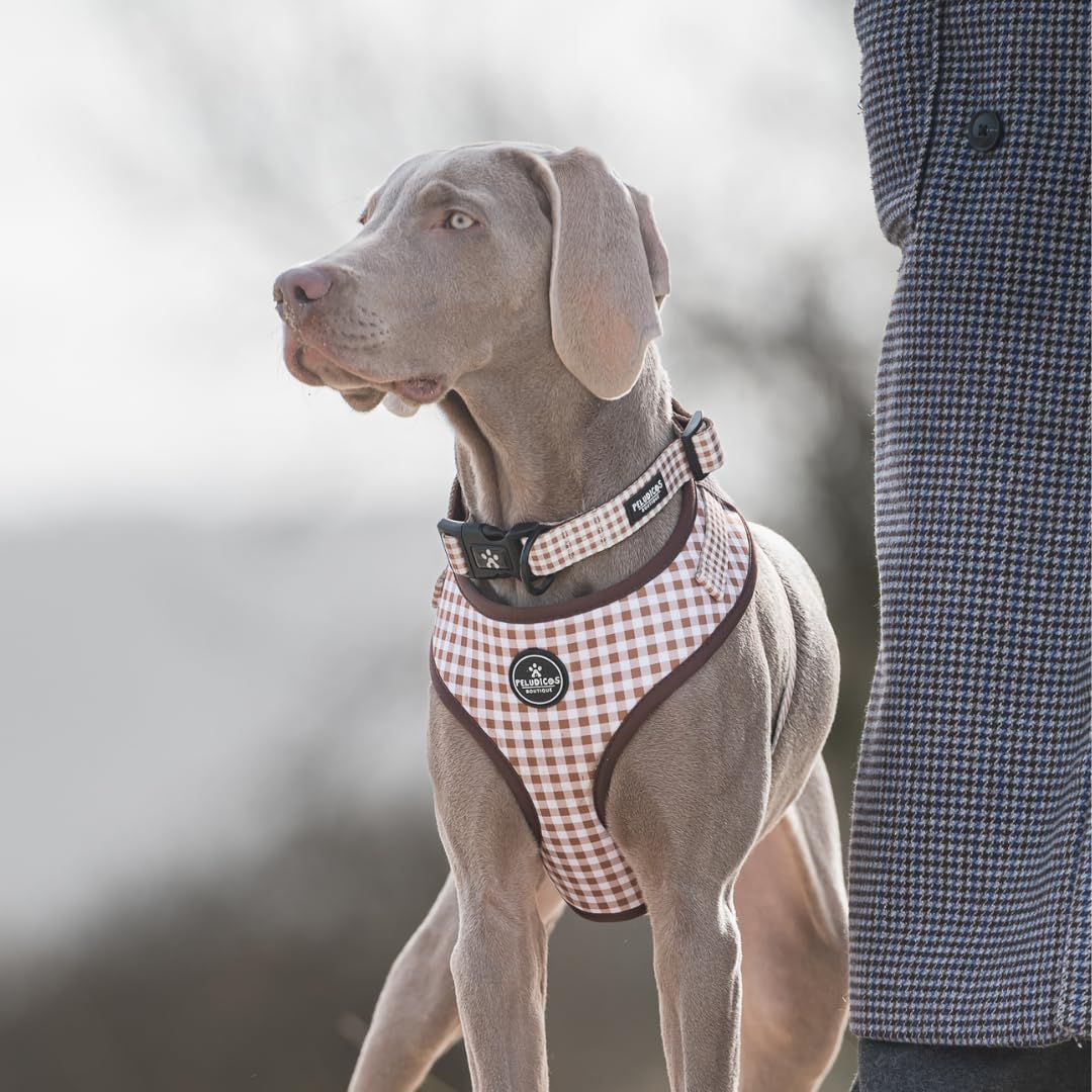 Pack Arnés L y Correa M Mocca para Perro Ajustables de Neopreno – Diseño Vichy, Cómodos y Resistentes – 4 Tallas