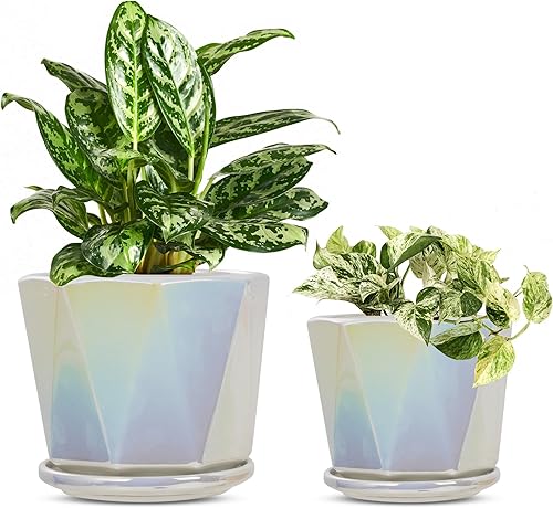 Coco Andrea Macetas pequeñas de cerámica blanca iridiscente para plantas de interior con agujeros de drenaje y platillos, 2 macetas para plantas de
