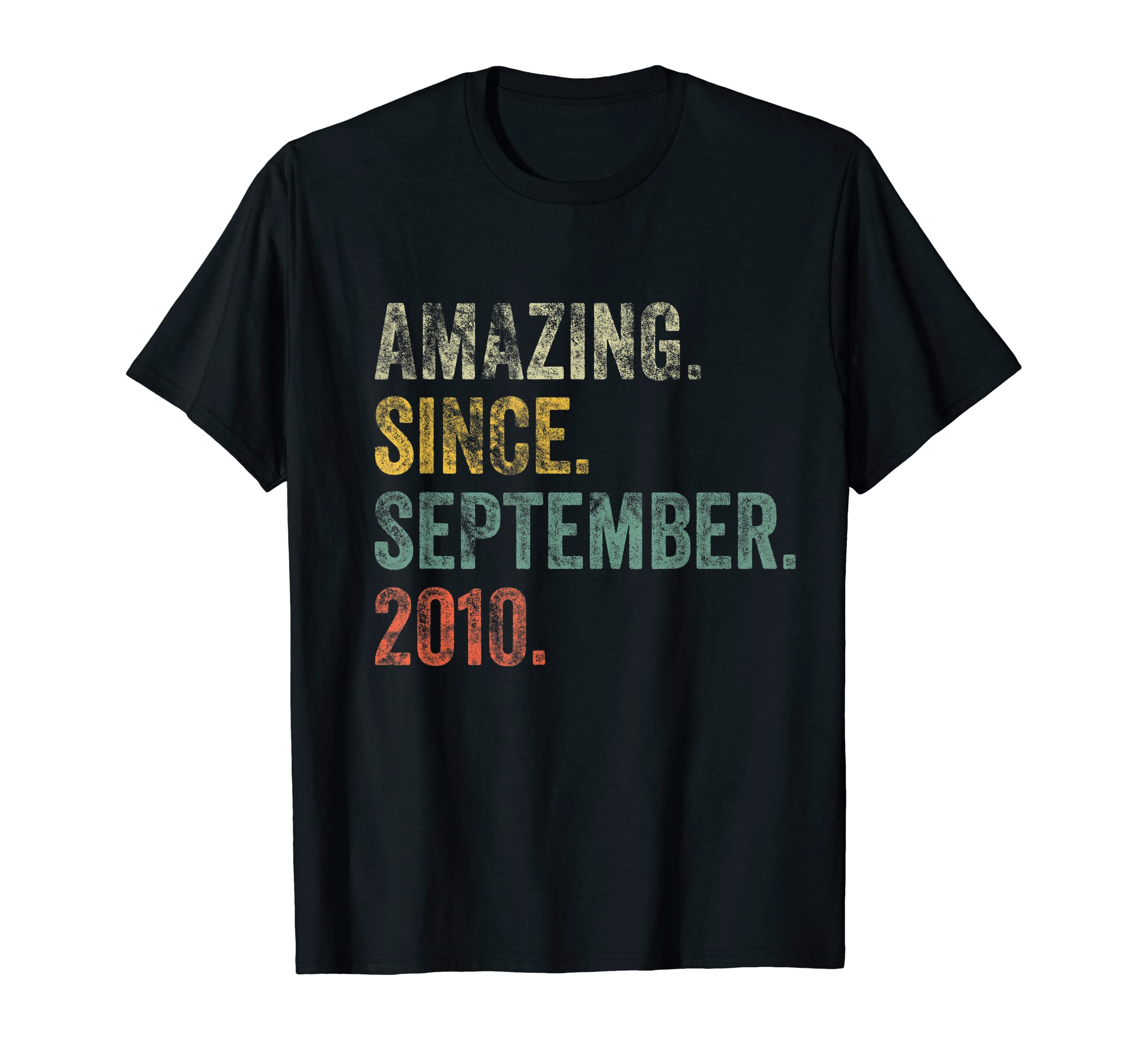 Amazing Vintage BirthdayVintage 2010 12th Birthday Amazing Since September 2010 T-Shirt