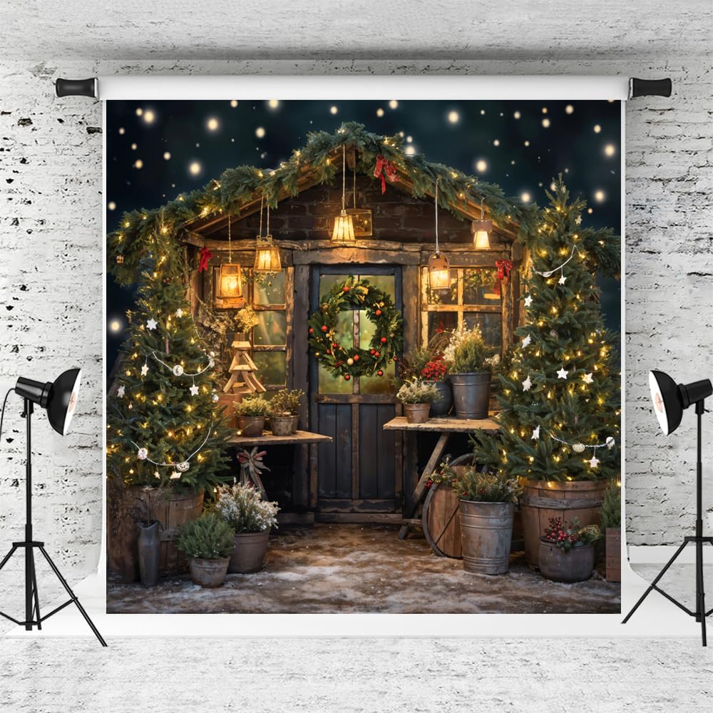 Kate Christmas Backdrops For Photography Kate 10x10ft Christmas Glitter ...